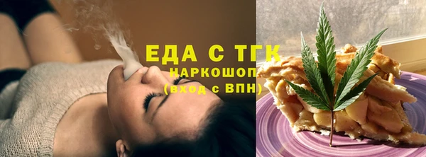 спиды Ельня